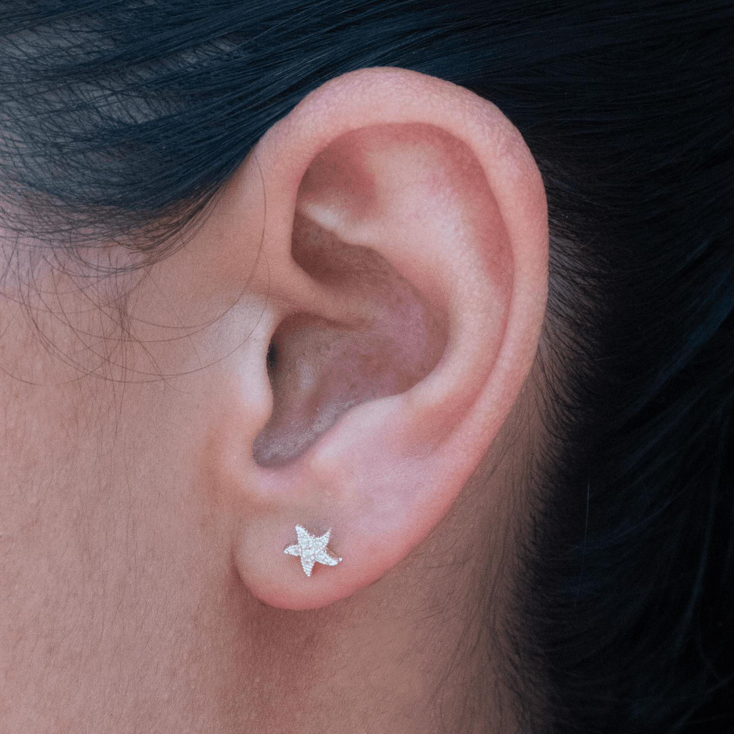 Topo Estrella De Mar Circones Cristal Rosca Seguridad - Vibrantto Joyas y Accesorios - P34254C