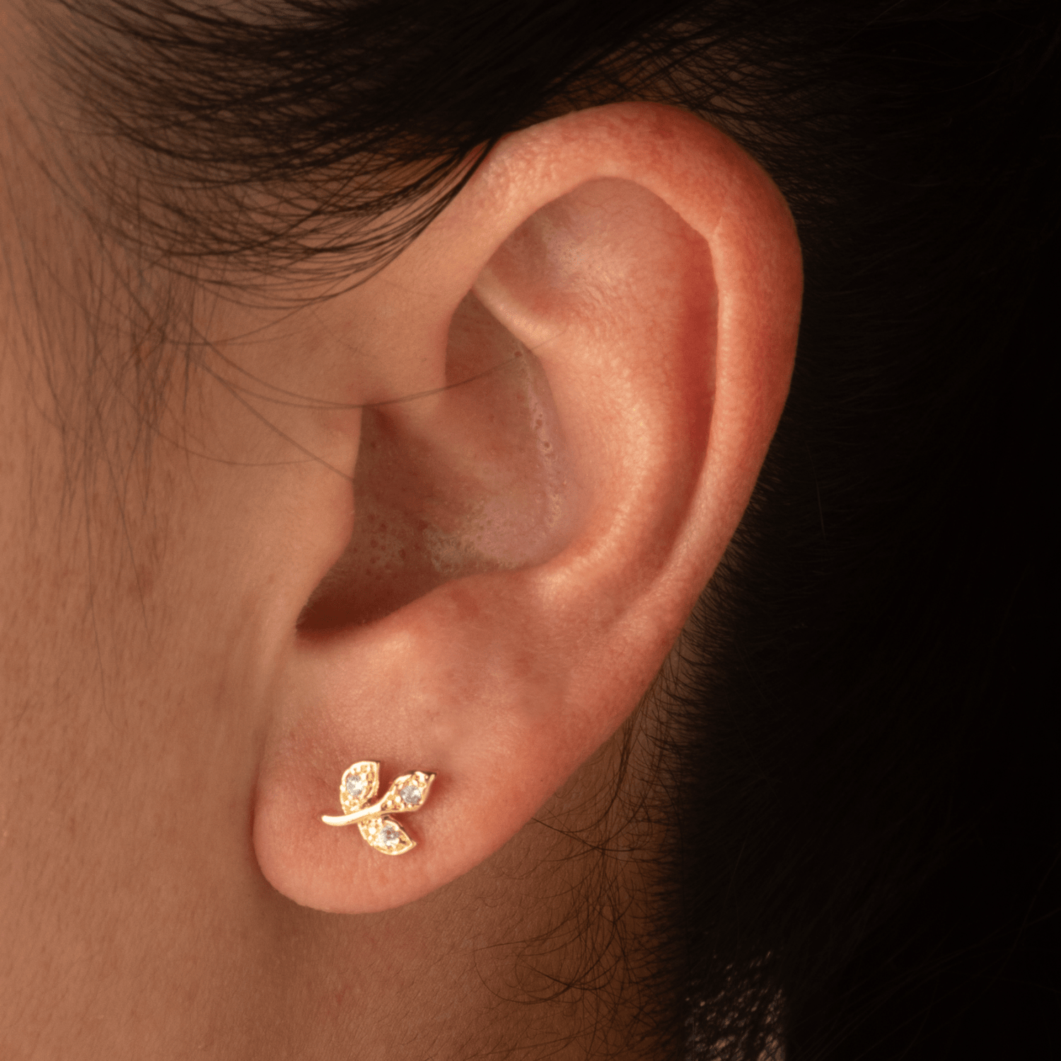 Topo Rama Circones - Vibrantto Joyas y Accesorios - 9021331