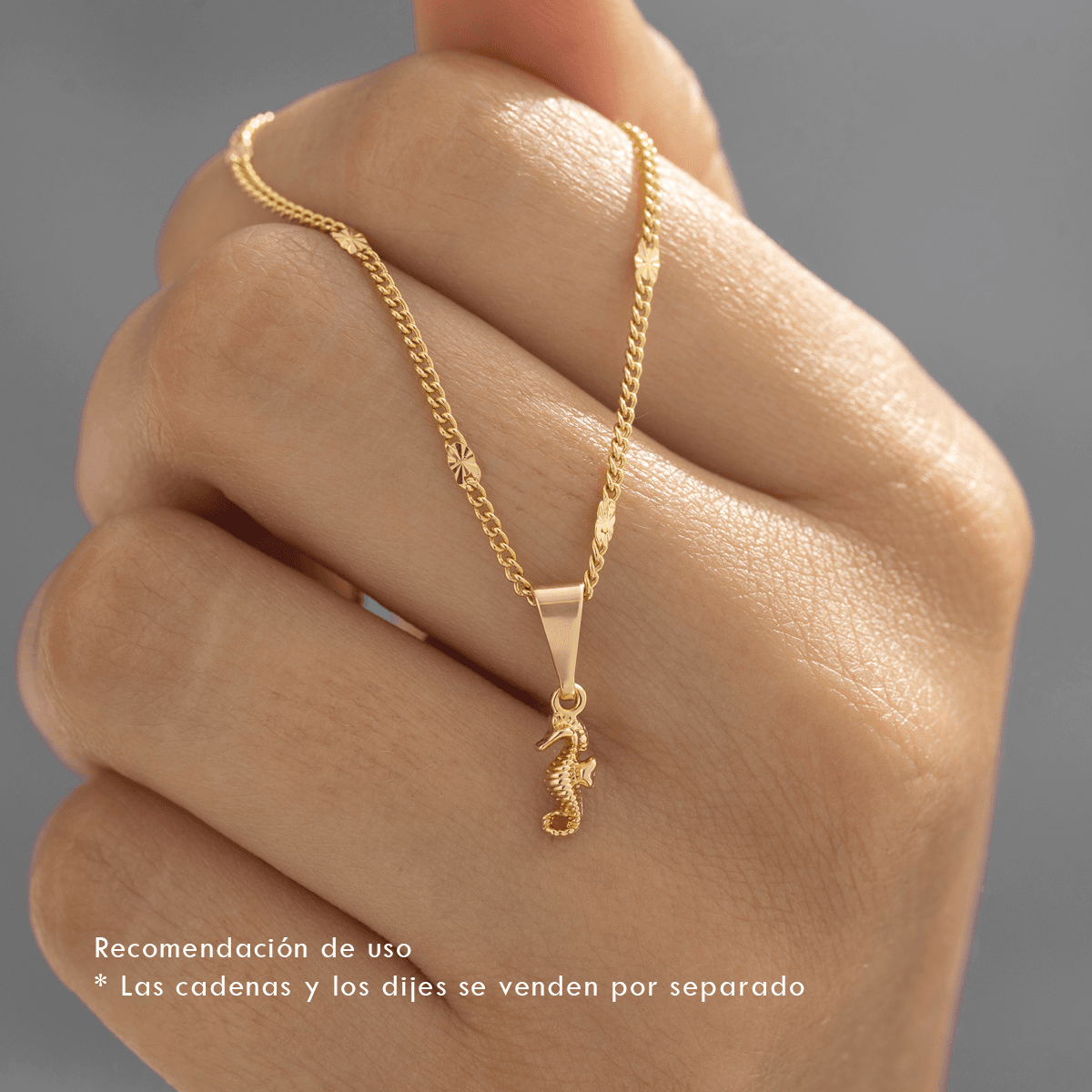 Dije Caballito de Mar - Vibrantto Joyería