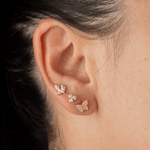 Set x3 Topos Silvestre Cristal - Vibrantto Joyas y Accesorios - 9021393-9021331-9020976